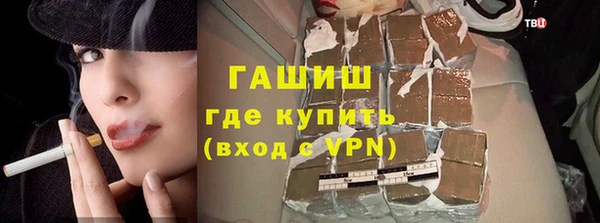 гидра Щигры