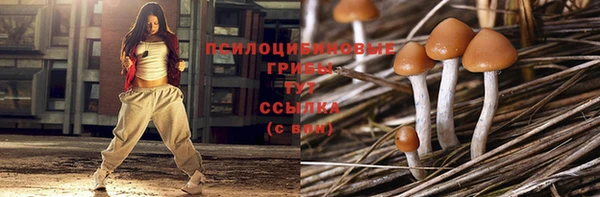 стафф Щёлкино